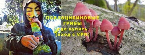 гашик Алзамай